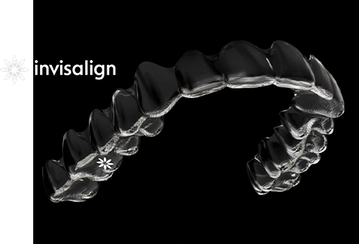 인비절라인 장치